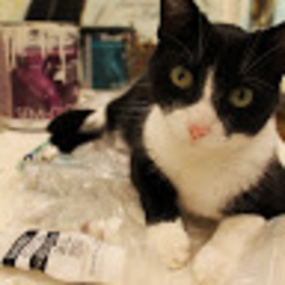 Meet your Posher, Matilda - Picture 1 of 1